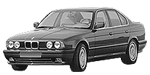 BMW E34 C250F Fault Code