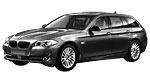 BMW F11 C250F Fault Code